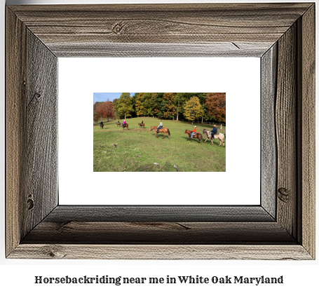 horseback riding near me in White Oak, Maryland